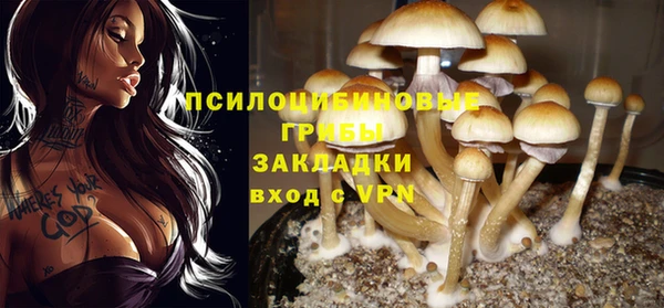 ПСИЛОЦИБИНОВЫЕ ГРИБЫ Бугульма